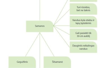 Apibrėžkite pagrindinius plaukiojančius ženklus: pavadinimus, išdėstymą, nuspalvinimą, šviesų charakteristikas - Straipsnis